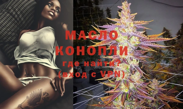 амф Верхний Тагил