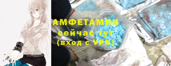 амф Верхний Тагил